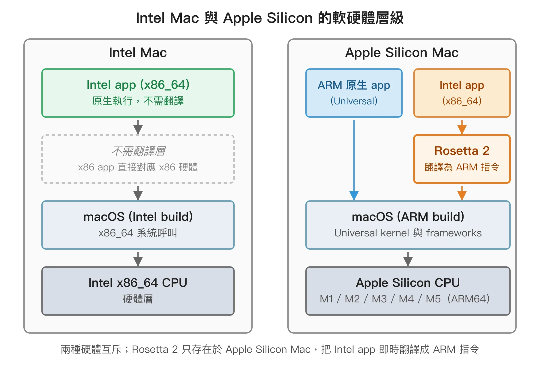 Intel Mac 與 Apple Silicon Mac 的軟硬體層級對照：Intel Mac 上 Intel app 直接對應 Intel CPU 不需翻譯；Apple Silicon Mac 上 ARM 原生 app 直接執行，Intel app 則需要透過 Rosetta 2 翻譯成 ARM 指令